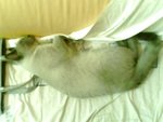 tn_IMG0050A