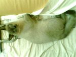 tn_IMG0051A