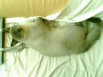 tn_IMG0052A