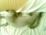tn_IMG0053A