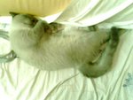 tn_IMG0054A