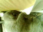 tn_IMG0057A
