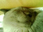 tn_IMG0058A