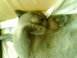 tn_IMG0059A