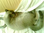 tn_IMG0060A