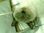 tn_IMG0070A