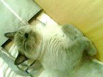tn_IMG0071A