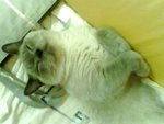 tn_IMG0072A