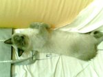 tn_IMG0074A