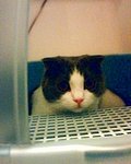 tn_IMG0203A