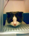 tn_IMG0204A