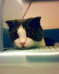 tn_IMG0205A
