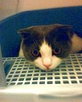 tn_IMG0206A