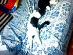 tn_IMG0326A