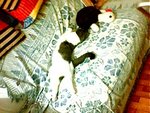 tn_IMG0327A