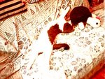 tn_IMG0329A
