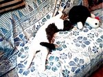 tn_IMG0330A