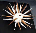 tn_DSC_0084