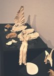 tn_DSC_0124