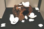 tn_DSC_0160