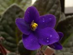 DSC05056_rs