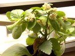 DSC05088_rs