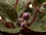 DSC05092_rs