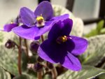 DSC05188_rs