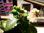 tn_DSC03057