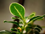 tn_DSC03060
