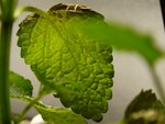 tn_DSC03064