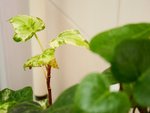tn_DSC03135