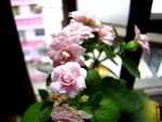 tn_DSC04711