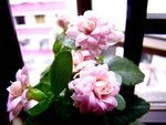 tn_DSC04714