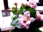 tn_DSC04715