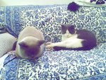 tn_IMG0126A_rs