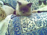 tn_IMG0127A_rs