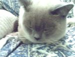 tn_IMG0128A_rs