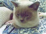 tn_IMG0130A_rs