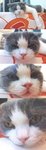BB_4in1_rs