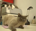 DSC05069_rs