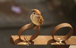 DSC05958_rs