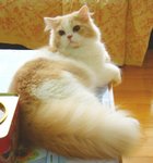 RS_DSC09039a