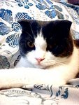 tn_IMG0051A