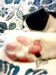 tn_IMG0052A