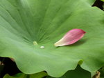 P1000287