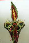 flower2008-121