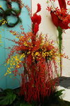 flower2008-123