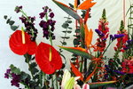 flower2008-129
