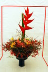 flower2008-134